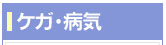 �P�K�E�a�C
